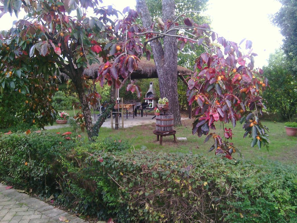 Agriturismo Artisti Del Cavallo Arezzo Luaran gambar